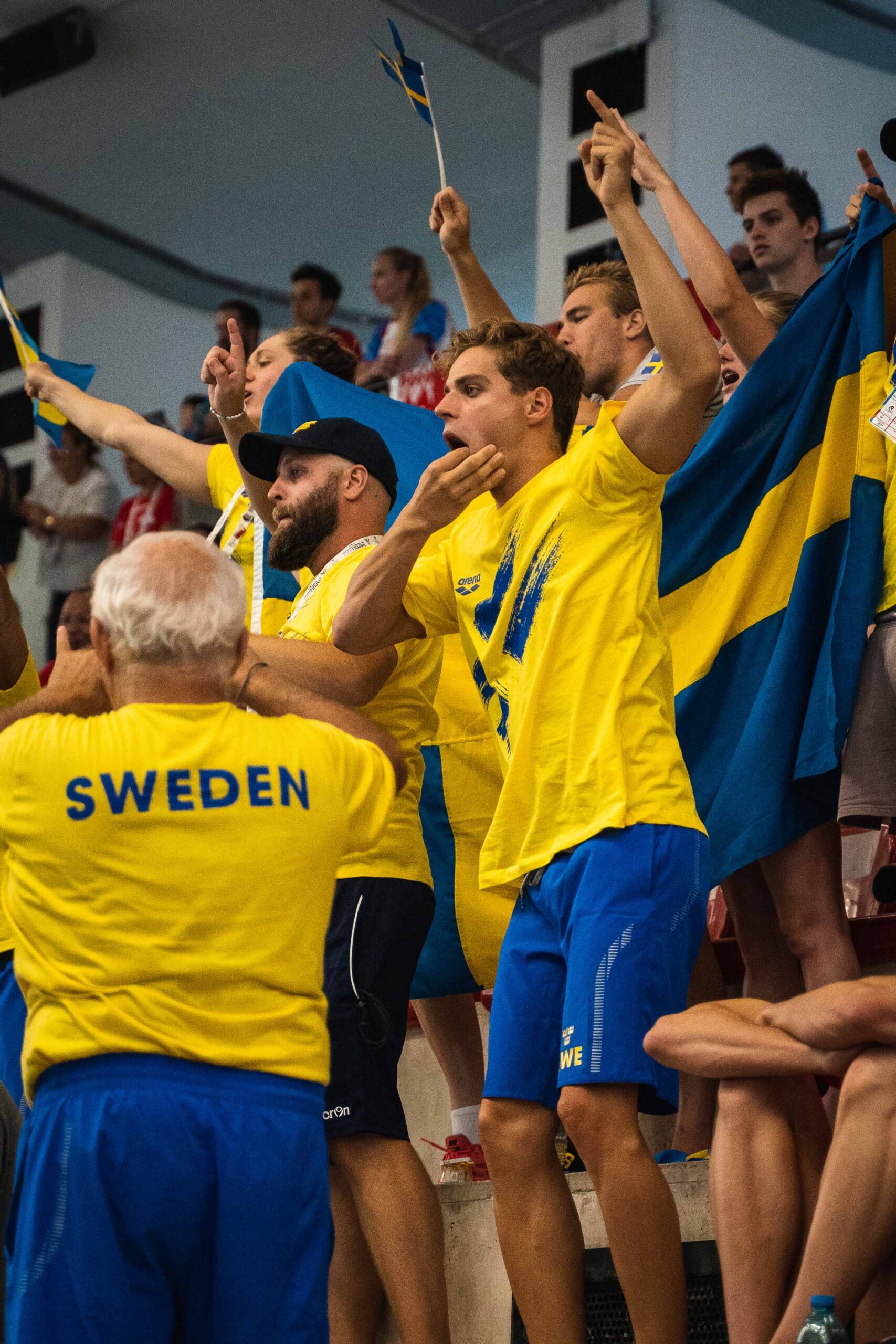 Sweden crowd